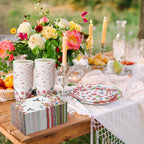 Sinmoe 400 Pcs Spring Plates Napkins Disposable Dinnerware Set Multicolor Bird