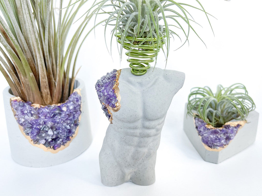 MALE BODY AIR PLANT HOLDER