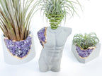 MALE BODY AIR PLANT HOLDER