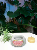 Geode Air Plant Holder -Amazonite Crystal Planter